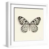 Butterfly V BW Crop-Debra Van Swearingen-Framed Art Print