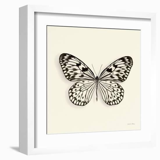 Butterfly V BW Crop-Debra Van Swearingen-Framed Art Print