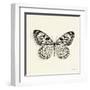 Butterfly V BW Crop-Debra Van Swearingen-Framed Art Print