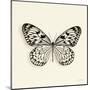 Butterfly V BW Crop-Debra Van Swearingen-Mounted Art Print