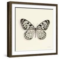 Butterfly V BW Crop-Debra Van Swearingen-Framed Art Print