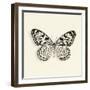 Butterfly V BW Crop-Debra Van Swearingen-Framed Art Print