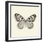 Butterfly V BW Crop-Debra Van Swearingen-Framed Art Print