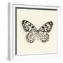 Butterfly V BW Crop-Debra Van Swearingen-Framed Art Print