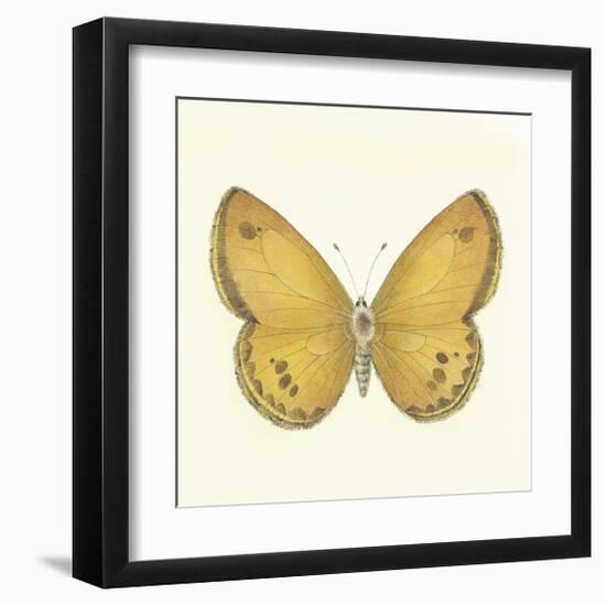 Butterfly V-Sophie Golaz-Framed Premium Giclee Print