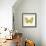 Butterfly V-Sophie Golaz-Framed Premium Giclee Print displayed on a wall