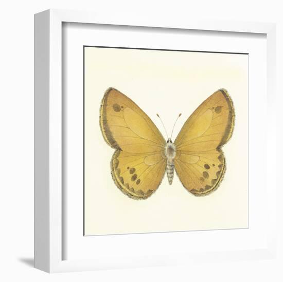 Butterfly V-Sophie Golaz-Framed Premium Giclee Print