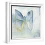 Butterfly V-Michelle Oppenheimer-Framed Art Print