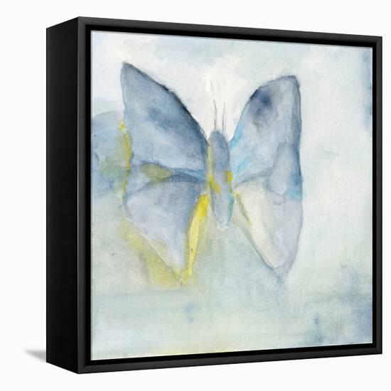 Butterfly V-Michelle Oppenheimer-Framed Stretched Canvas