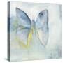 Butterfly V-Michelle Oppenheimer-Stretched Canvas