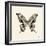 Butterfly VI BW Crop-Debra Van Swearingen-Framed Art Print