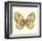 Butterfly VI-Sophie Golaz-Framed Premium Giclee Print