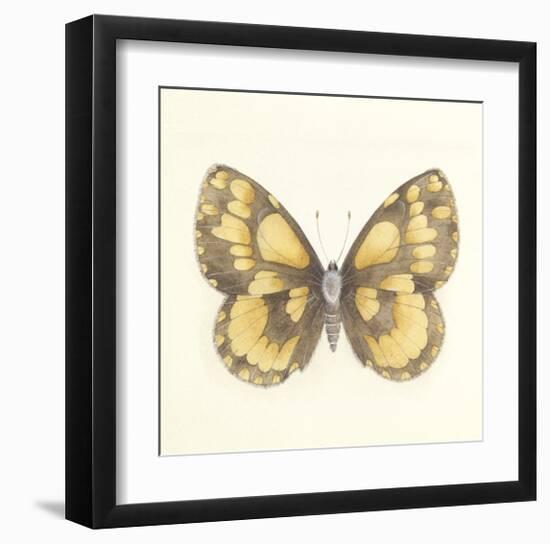 Butterfly VI-Sophie Golaz-Framed Premium Giclee Print