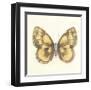 Butterfly VI-Sophie Golaz-Framed Premium Giclee Print