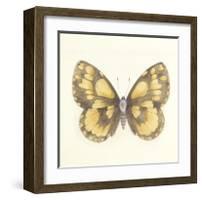 Butterfly VI-Sophie Golaz-Framed Premium Giclee Print