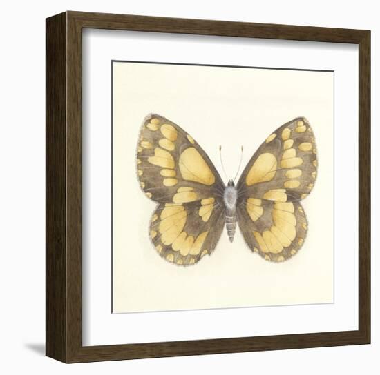 Butterfly VI-Sophie Golaz-Framed Premium Giclee Print