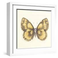 Butterfly VI-Sophie Golaz-Framed Premium Giclee Print