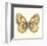 Butterfly VI-Sophie Golaz-Framed Premium Giclee Print