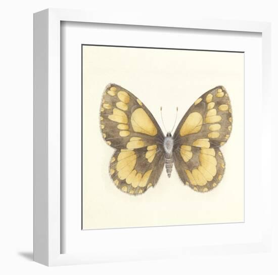 Butterfly VI-Sophie Golaz-Framed Premium Giclee Print