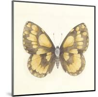 Butterfly VI-Sophie Golaz-Mounted Premium Giclee Print