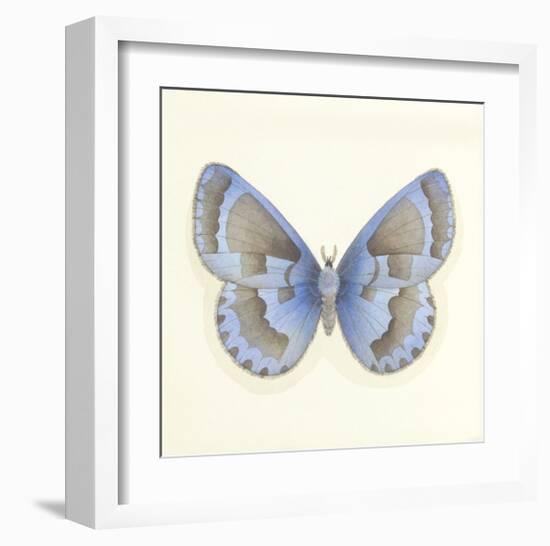 Butterfly VII-Sophie Golaz-Framed Premium Giclee Print
