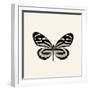 Butterfly VIII BW Crop-Debra Van Swearingen-Framed Art Print