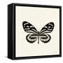 Butterfly VIII BW Crop-Debra Van Swearingen-Framed Stretched Canvas