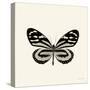 Butterfly VIII BW Crop-Debra Van Swearingen-Stretched Canvas