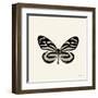 Butterfly VIII BW Crop-Debra Van Swearingen-Framed Art Print