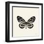 Butterfly VIII BW Crop-Debra Van Swearingen-Framed Art Print