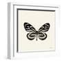 Butterfly VIII BW Crop-Debra Van Swearingen-Framed Art Print