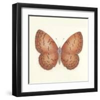 Butterfly VIII-Sophie Golaz-Framed Premium Giclee Print