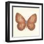 Butterfly VIII-Sophie Golaz-Framed Premium Giclee Print