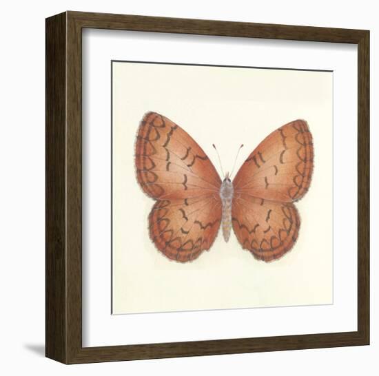 Butterfly VIII-Sophie Golaz-Framed Premium Giclee Print