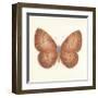 Butterfly VIII-Sophie Golaz-Framed Premium Giclee Print