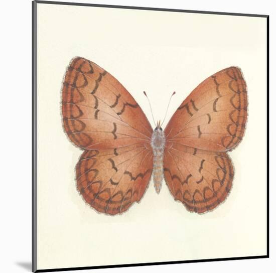 Butterfly VIII-Sophie Golaz-Mounted Premium Giclee Print