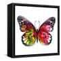 Butterfly Watercolor I-Jensen Adamsen-Framed Stretched Canvas