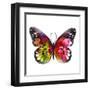 Butterfly Watercolor I-Jensen Adamsen-Framed Art Print