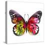 Butterfly Watercolor I-Jensen Adamsen-Stretched Canvas