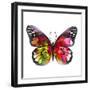 Butterfly Watercolor I-Jensen Adamsen-Framed Art Print
