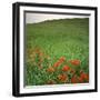 Butterfly Weed, Konza Prairie Natural Area, Kansas, USA-Charles Gurche-Framed Photographic Print