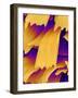 Butterfly Wing Scales, SEM-Susumu Nishinaga-Framed Photographic Print