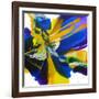 Butterfly Wings-Aleta Pippin-Framed Giclee Print