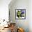 Butterfly Wings-Aleta Pippin-Framed Giclee Print displayed on a wall