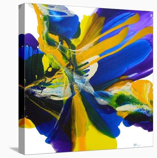 Butterfly Wings-Aleta Pippin-Stretched Canvas