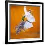 Butterfly with lavender as a jewellery-Alexander Georgiadis-Framed Photographic Print