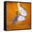 Butterfly with lavender as a jewellery-Alexander Georgiadis-Framed Stretched Canvas