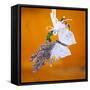 Butterfly with lavender as a jewellery-Alexander Georgiadis-Framed Stretched Canvas