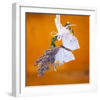 Butterfly with lavender as a jewellery-Alexander Georgiadis-Framed Photographic Print