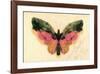 Butterfly-Albert Bierstadt-Framed Premium Giclee Print